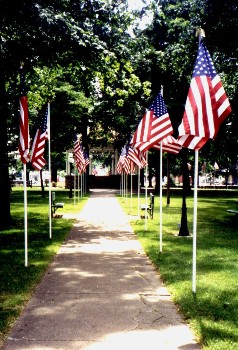 Avenue of Flags in Metamora