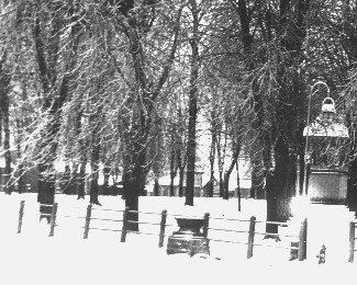 Photo of the fence in the Metamora square. 