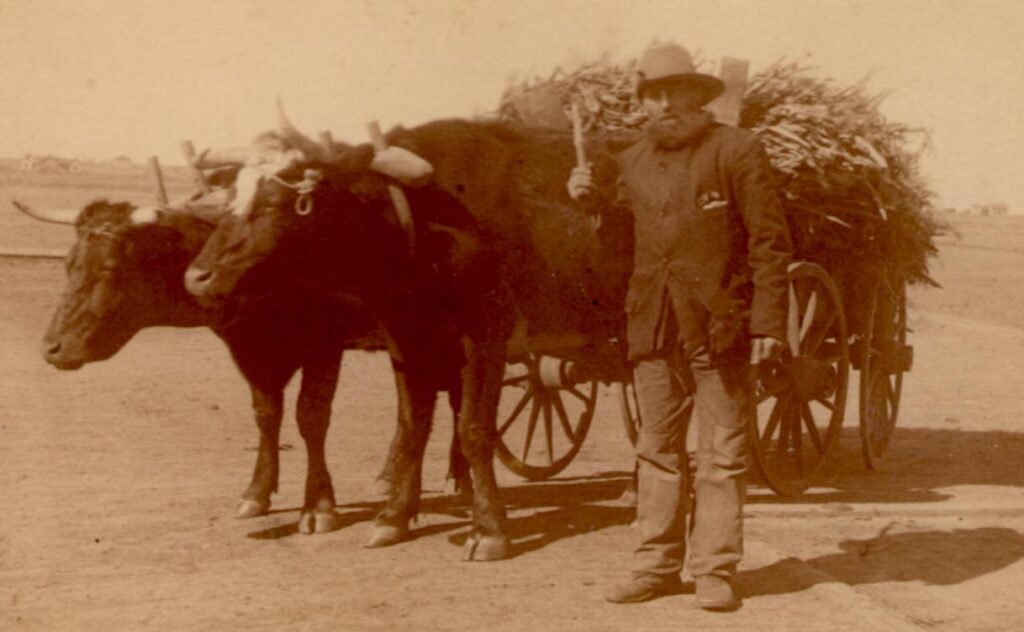 This photo is Fred Becker, one of two hermits who lived west of Metamora.