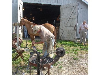 A local farrier hammers a new horse shoe.